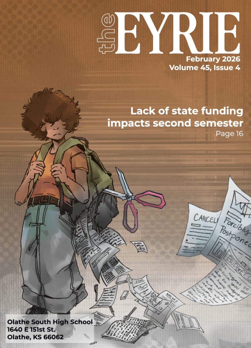 Digital Illustration_DESIGN_5A_6A_Quarterly Contests_1st Place_Dani Hufford_Olathe South High School